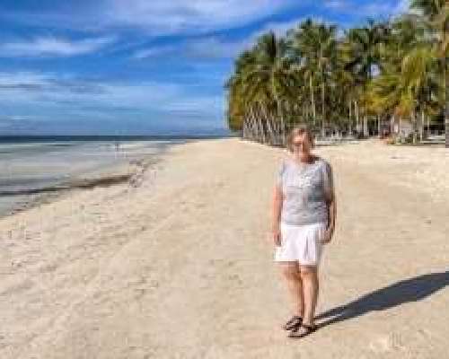 Bohol – vain valkeita palmurantoja?