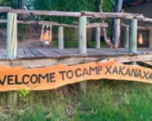 Camp Xakanaxa Okavangon suistossa