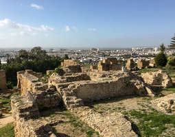 Karthago ja Tunisin medina