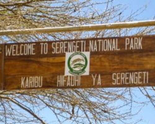 Nuoruusvuosieni matkaunelma: Serengeti