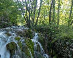 Plitvicen luonnonpuisto – Kroatian helmi?