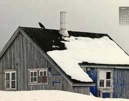 Tammikuun kuva – Grönlanti