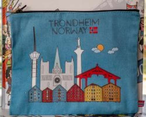 Trondheim – koe ainakin nämä