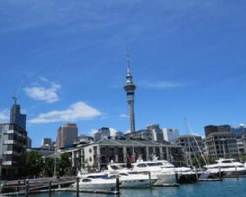Auckland – purjehdusjuhlaa ja ensitunnelmia U...