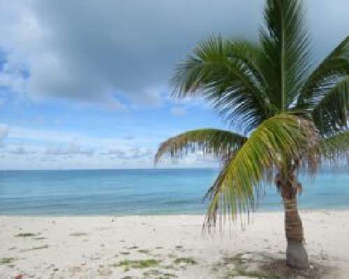 Miami ja Karibian risteily – kesäloman parhaa...