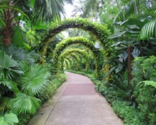 Singaporen kasvitieteellinen puutarha