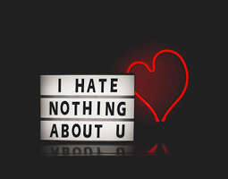 Rakastan sinua koska...ja välillä inhoan sinu...