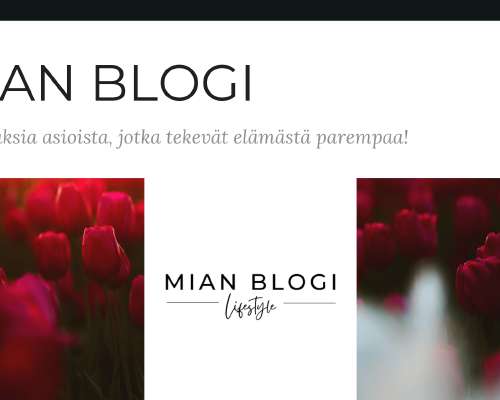 Miten minusta tuli bloggaaja?
