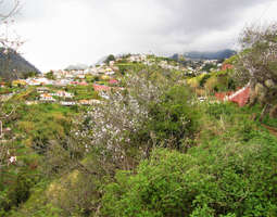 Blogi uudistuu + Madeiran vaarallisin levada