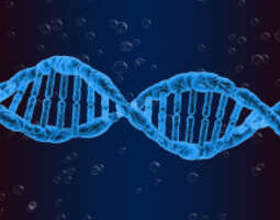 ”Tein DNA-testin.” – 5 syytä jättää DNA-testi...