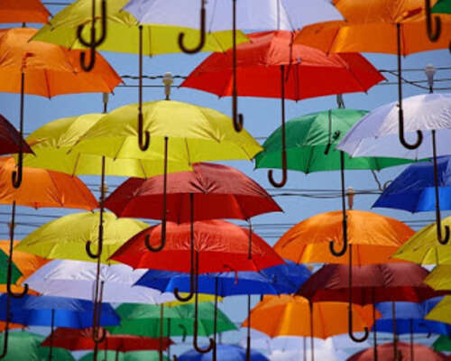 Sateenvarjolla rikkauksiin