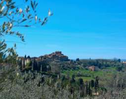 Matka Toscanassa jatkuu: Montisi, Montalcino ...