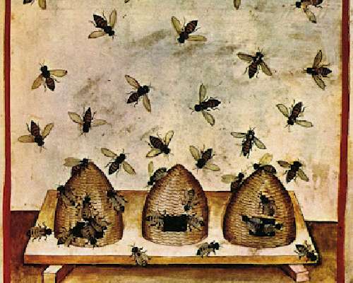 Kuinka kauan Suomessa on kasvatettu mehiläisiä?