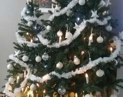 Joulupuu on rakennettu....