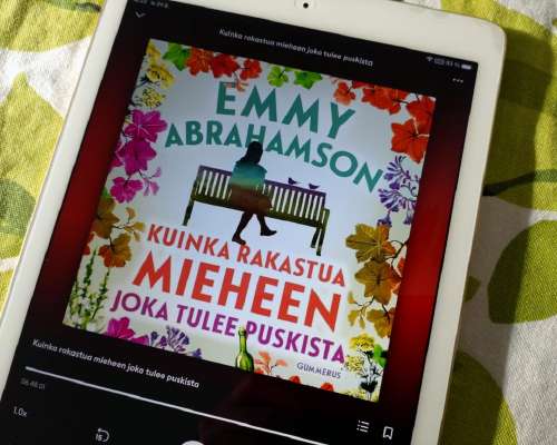 Emmy Abrahamson: Kuinka rakastua mieheen joka...