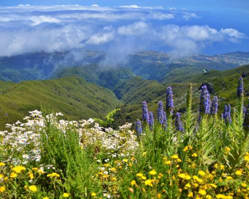 Madeira, atlantin helmi – parhaat vinkit