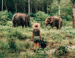 Vapaaehtoistyö elefanttien parissa Thaimaassa