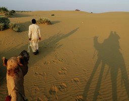 Luksustelttailua ja kamelisafari Jaisalmerin ...