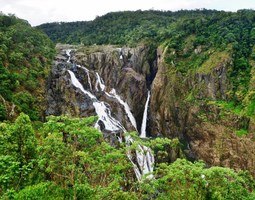Päiväretki Cairnsistä: Kuranda ja Barron Falls