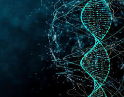 DNA on koodia ja se on monimutkaisempi kuin y...