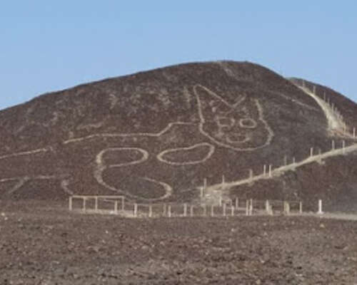 Nazcan linjojen luota löytyi uusi kuva