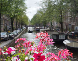 Amsterdam osa 3.