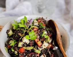 Punainen quinoa tabbouleh kesäkurpitsalla (G, M)