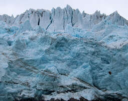Näimme Huippuvuorilla miten jäätiköt hupeneva...