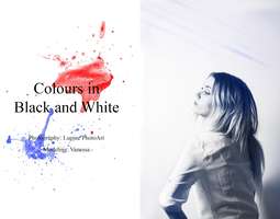 Colours in Black and White