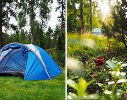 10 asiaa, jotka opin ekalla telttaretkellä