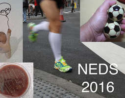 NEDS-konferenssikuulumisia – Mikrobeja, kilpa...