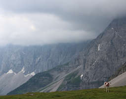 Itävallan Karwendeltal – kovan luokan vuoripo...