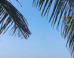 Ngwe Saung – Myanmarin hiljaisilla palmuranno...