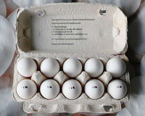 Keitetty kananmuna voi säilyä viikkokaupalla ...