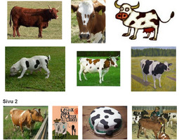 Lehmä ja suomalaiset