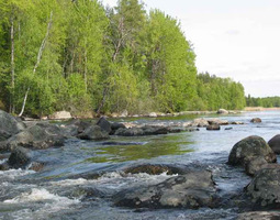 Suomen maantietoa ja luontoa