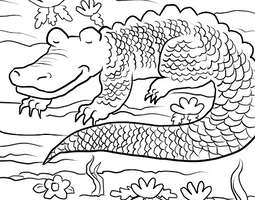A sleeping crocodile (a coloring page) / Nukk...