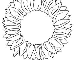 A sunflower (a coloring page) / Auringonkukka...