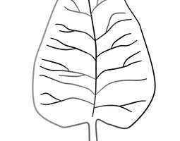 An Autumn Leaf (a coloring page) / Syksyinen ...