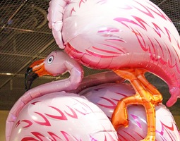 Spa spa spa spa vesipuisto - Flamingon lämmös...