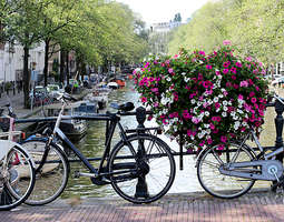 Amsterdam + kelluvat kukkamarkkinat.