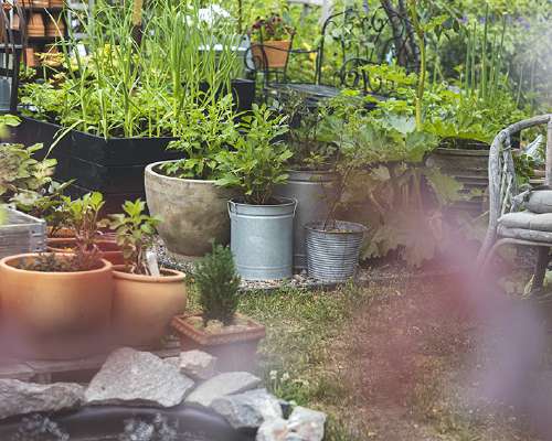 VESIAIHE – miten tehdä vesiaihe puutarhaan?