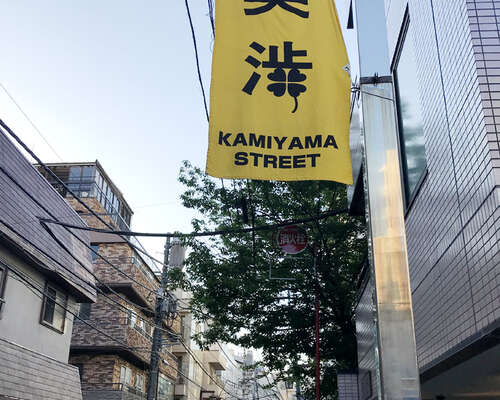 JAPANI 2019 osa 34: Tokio Kamiyama.