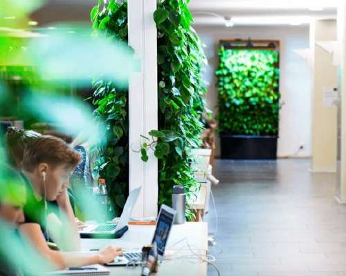 10 easy ways to bring more nature to the office
