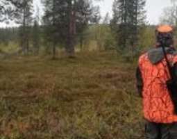 All you need to know about moose hunting in F...
