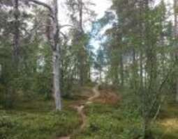 Fell Lapland Visitor Centre & nature trails i...
