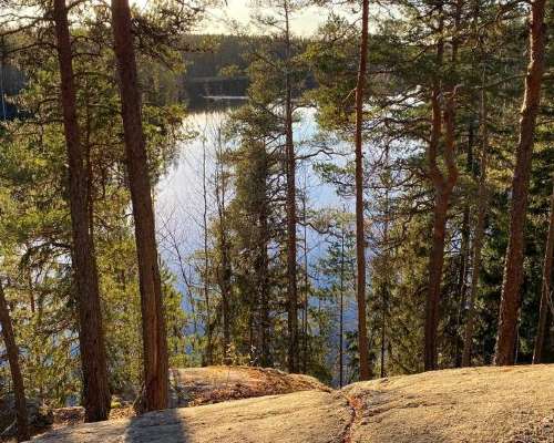 Hyypiö trail shows the best of Liesjärvi Nati...