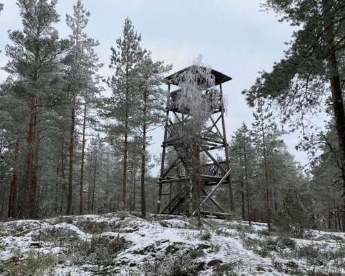 Korkeusvuori observation tower and nature tra...