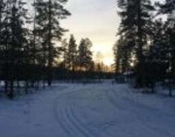 My secret spot for cross-country skiing in Lo...