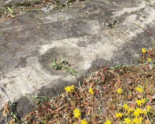 Prehistoric cup-marked stones in Lohja